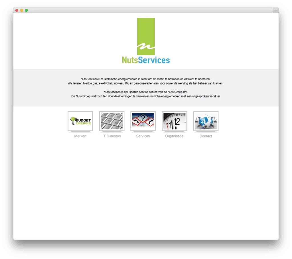 NutsServices homepage met hoofdcategorieën en logo.